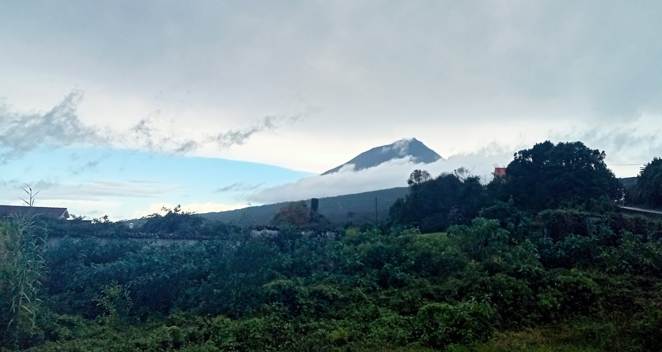 Autumn on Pico